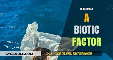 Is Beeswax a Biotic Factor? Exploring Its Ecological Role
