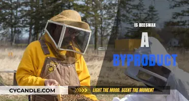 Is Beeswax a Byproduct? Unveiling Its Role in Beekeeping