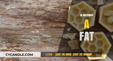 Is Beeswax a Fat? Uncovering the Truth About Its Composition