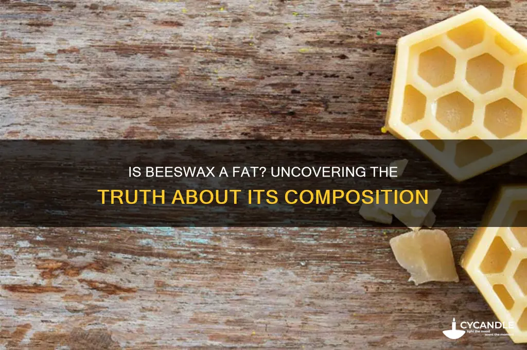 is beeswax a fat