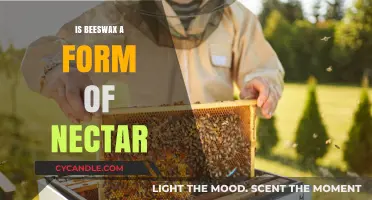 Is Beeswax Nectar? Unraveling the Honeybee's Waxy Secret