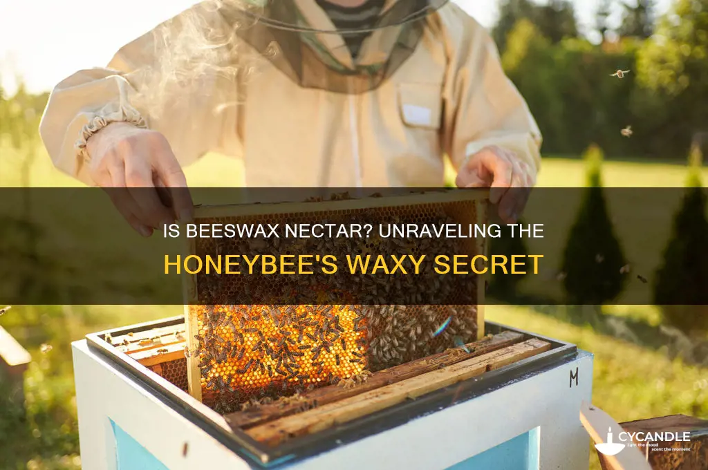 is beeswax a form of nectar