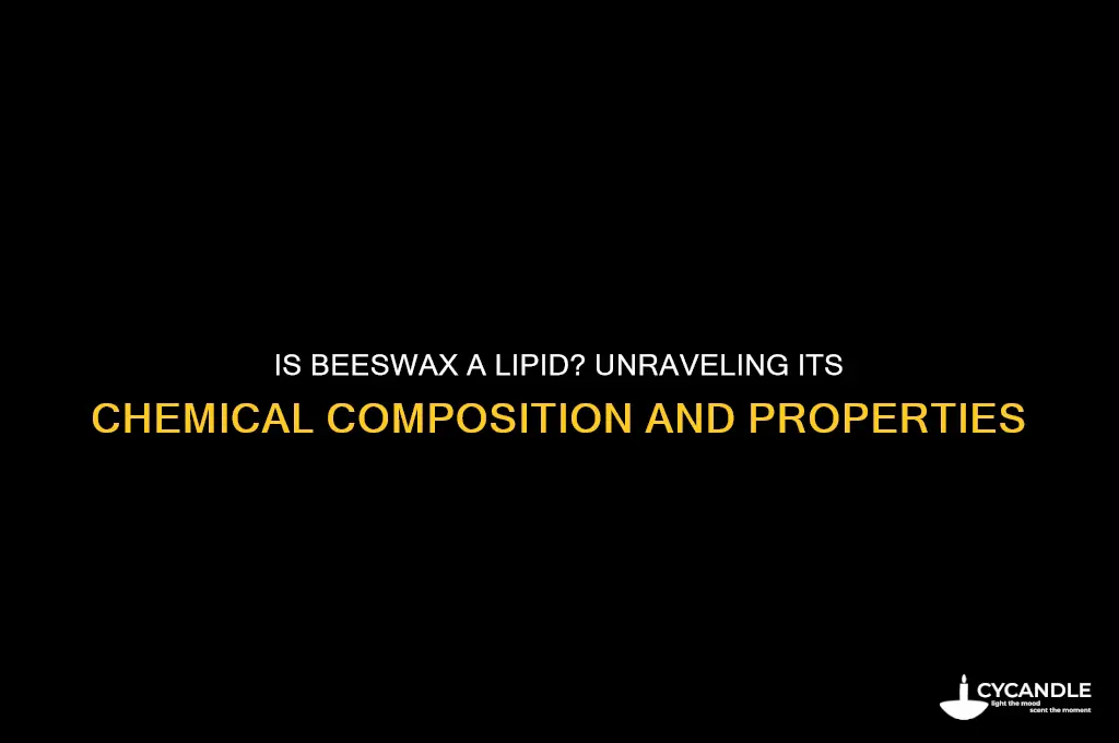 is beeswax a lipid
