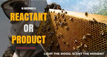 Understanding Beeswax: Reactant or Product in Chemical Processes Explained