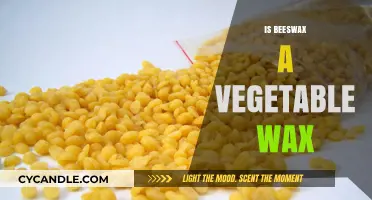 Is Beeswax a Vegetable Wax? Unraveling the Natural Wax Mystery