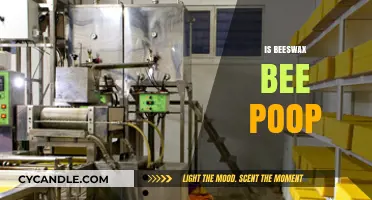 Is Beeswax Bee Poop? Unraveling the Buzzing Myth