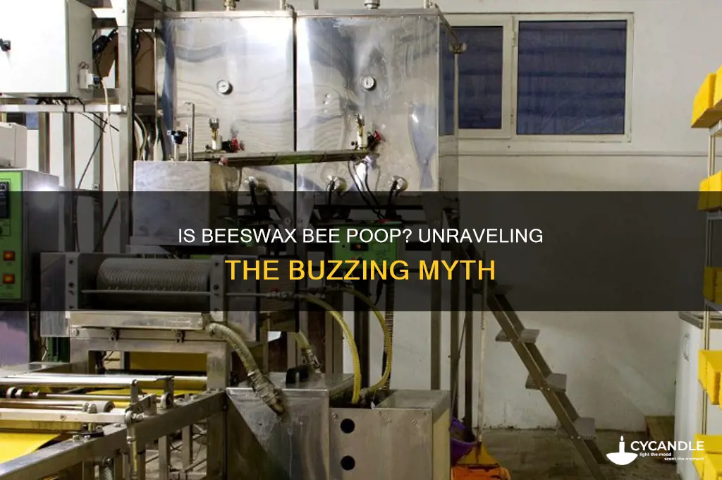 is beeswax bee poop