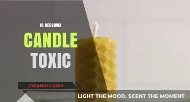 Beeswax Candles: Are They Toxic to Humans?
