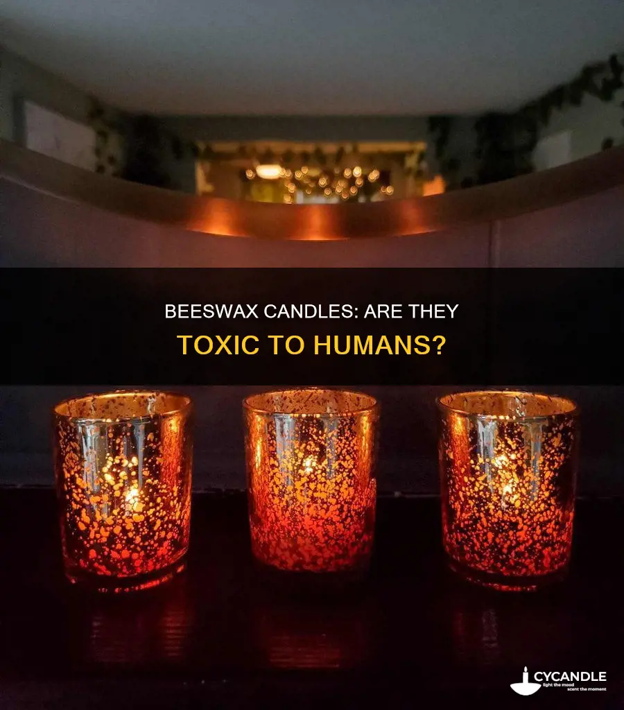 is beeswax candle toxic