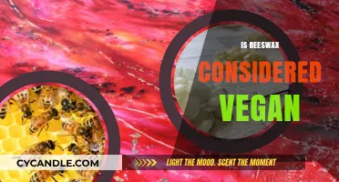 Is Beeswax Vegan? Exploring Ethical and Sustainable Alternatives