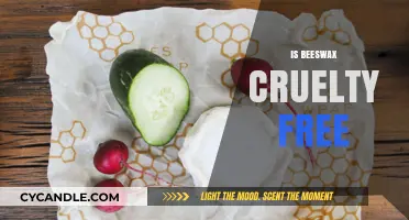 Is Beeswax Cruelty-Free? Ethical Sourcing and Vegan Alternatives Explained