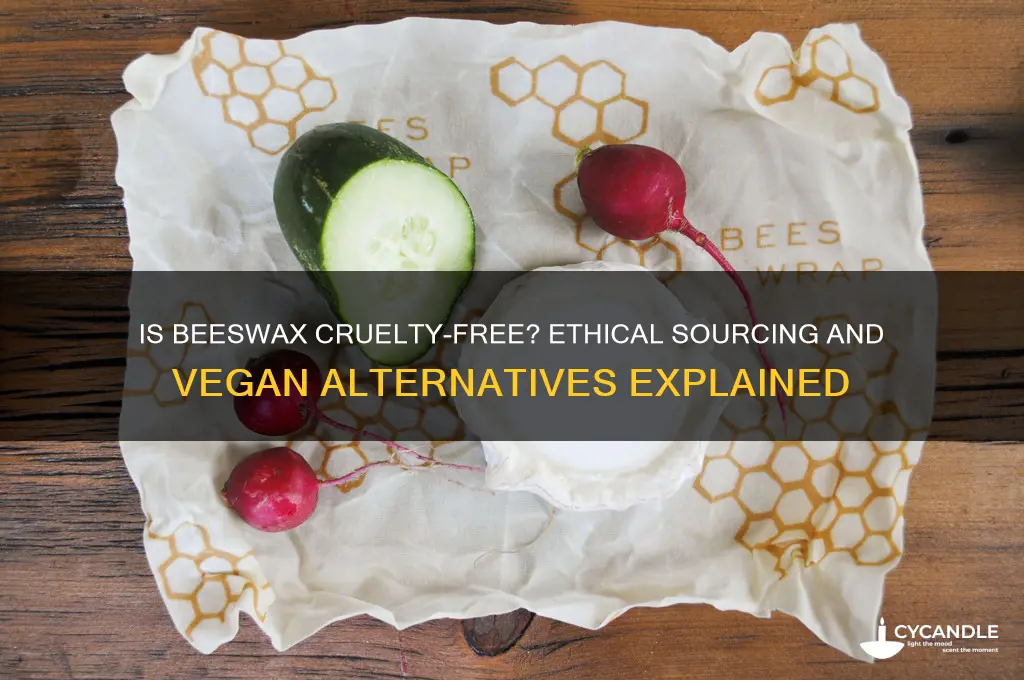 is beeswax cruelty free
