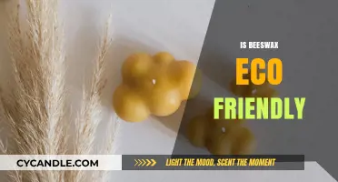 Is Beeswax Eco-Friendly? Uncovering Its Environmental Impact and Sustainability