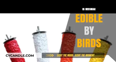Can Birds Safely Consume Beeswax? Exploring Edibility and Risks