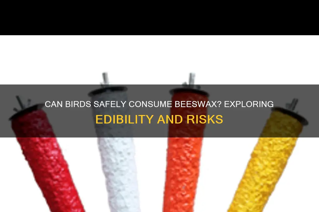 is beeswax edible by birds