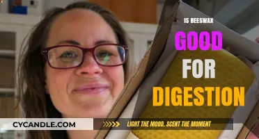 Beeswax Benefits: Enhancing Digestion and Gut Health Naturally