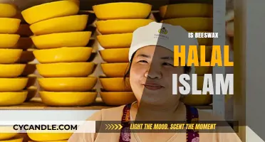 Is Beeswax Halal in Islam? Understanding Its Use and Permissibility