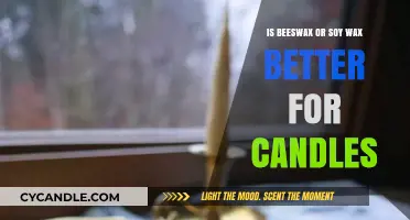 Beeswax vs. Soy Wax: Which Candle Material Burns Best?