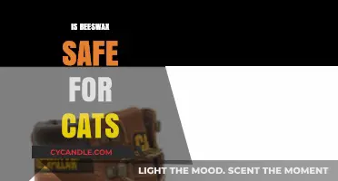Is Beeswax Safe for Cats? A Pet Owner's Guide