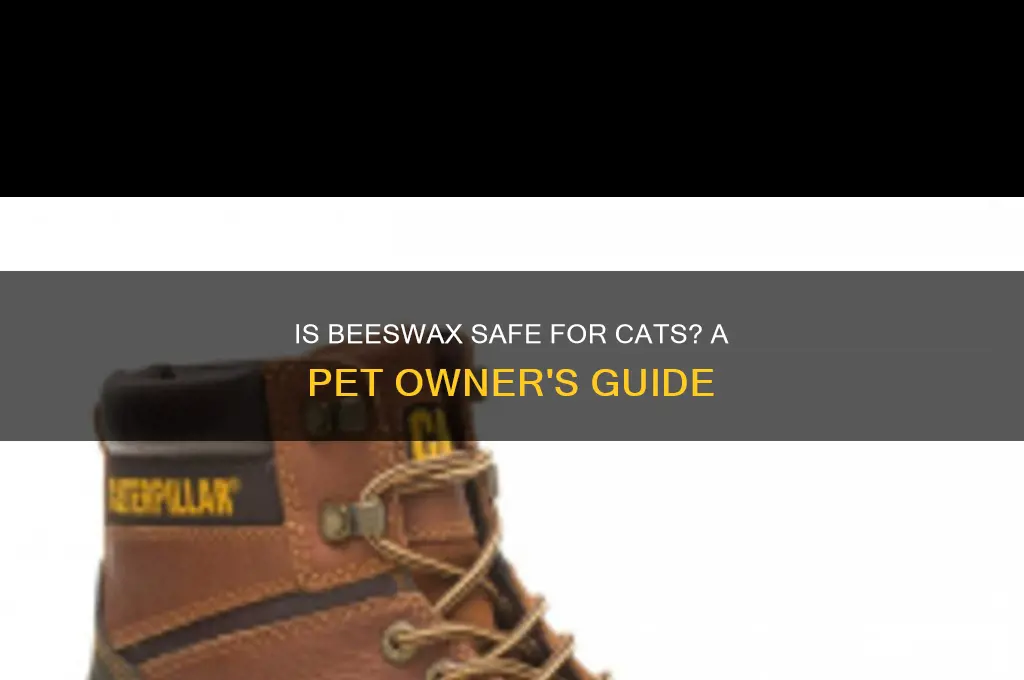 is beeswax safe for cats