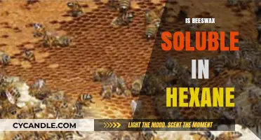 Is Beeswax Soluble in Hexane? Exploring Solubility and Extraction Methods