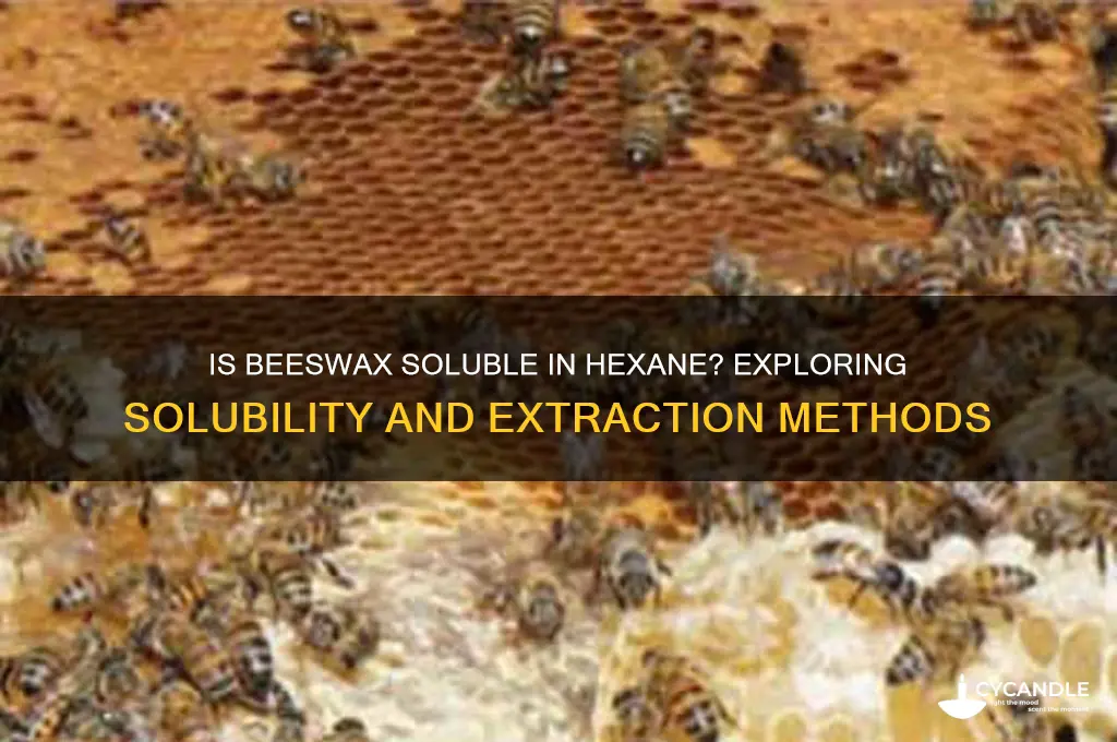 is beeswax soluble in hexane