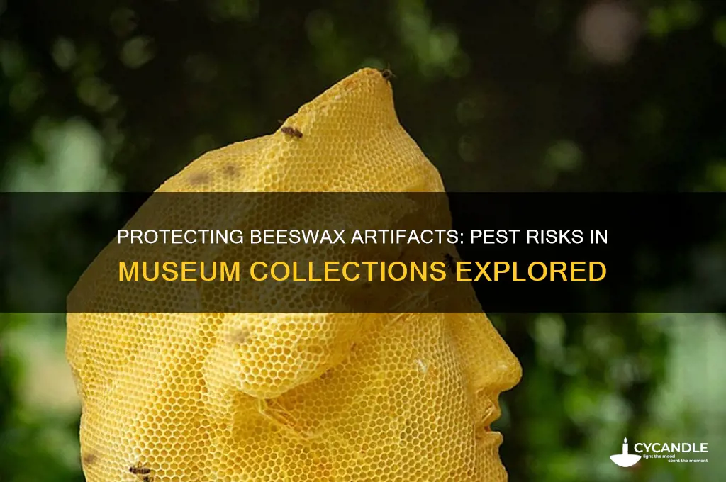 is beeswax vulnerable to pests museum