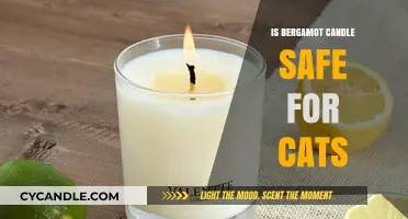 Are Bergamot Candles Safe for Cats? Essential Oils and Pet Safety