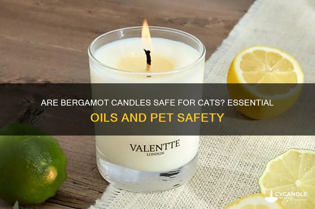 is bergamot candle safe for cats