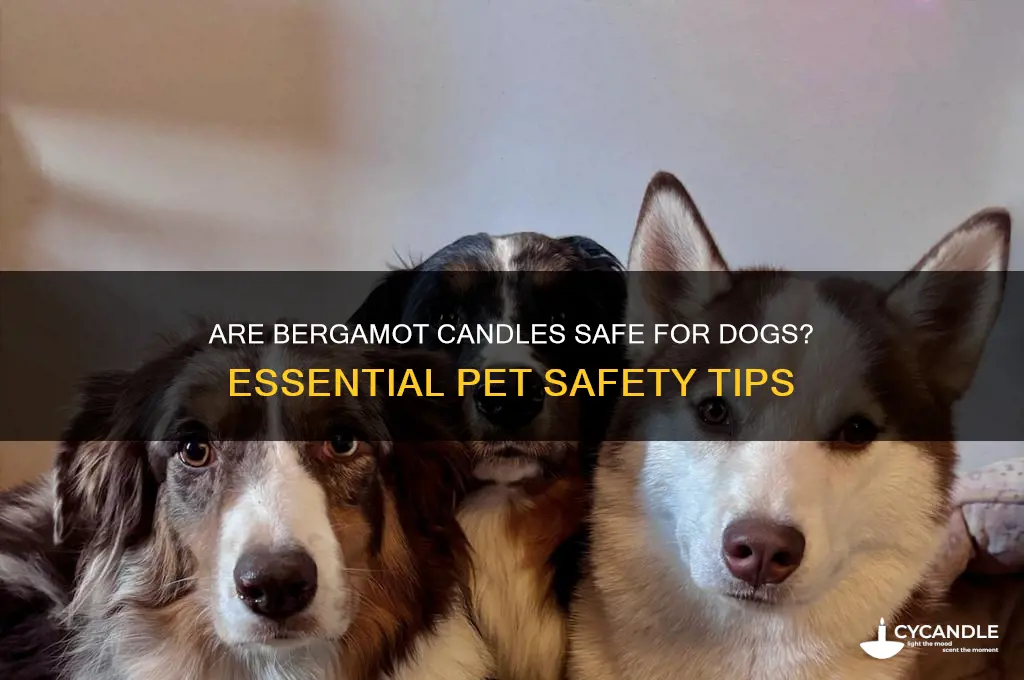 is bergamot candle safe for dogs