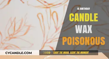 Are Birthday Candle Wax Toxins Harmful? Uncovering the Truth