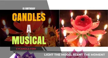 Birthday Candles: A Musical Journey of Life