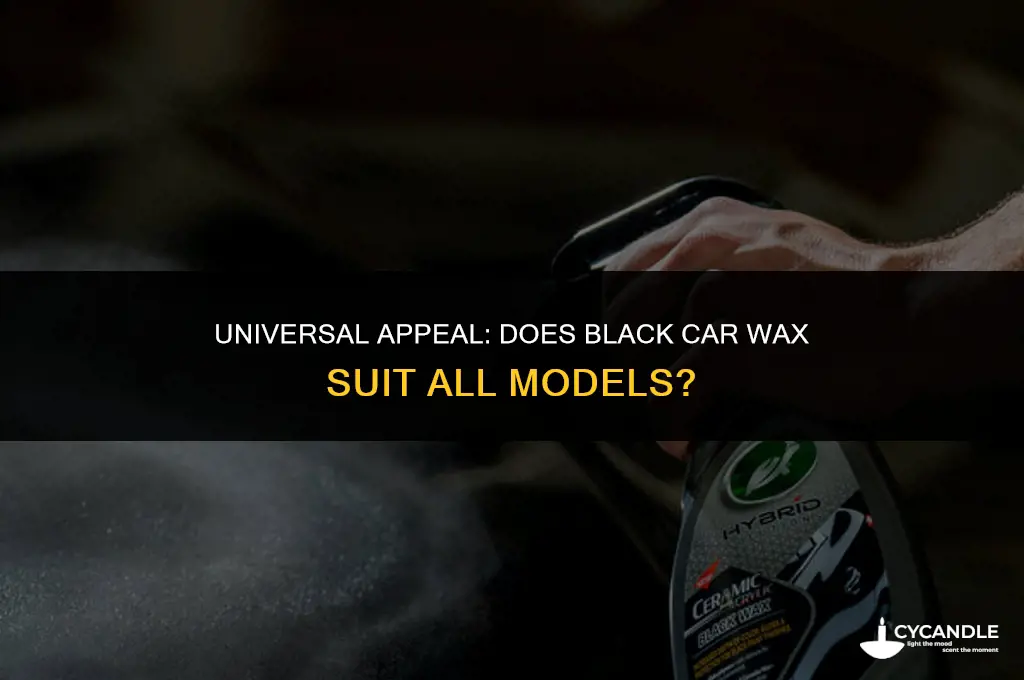 is black car wax good for all models