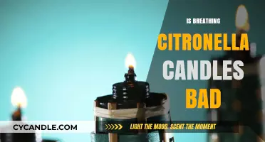 Citronella Candles: Safe to Breathe or Not?