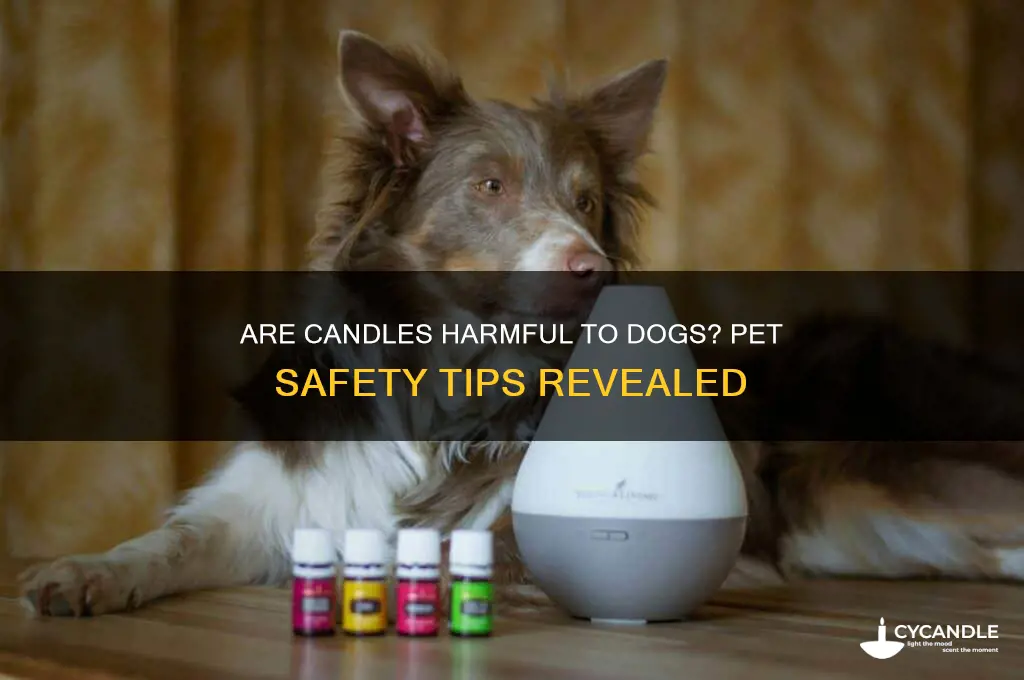 is burning a candle bad for dogs