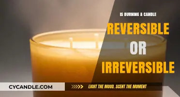 Candle Burning: Reversible or Irreversible Process Explained