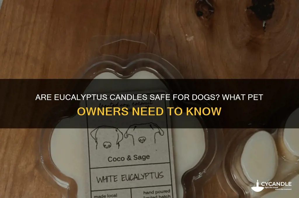 is burning a eucalyptus candle safe for dogs