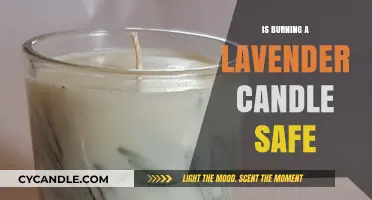 Is Burning Lavender Candles Safe? Uncovering the Truth and Risks