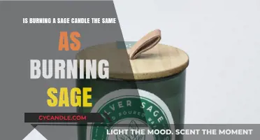 Sage Candles vs. Burning Sage: Are the Effects Truly Identical?