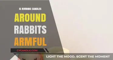 Are Candles Safe Around Rabbits? Potential Harms Explained