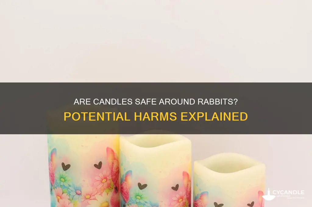 is burning candles around rabbits armful