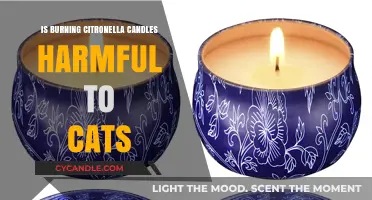 Are Citronella Candles Safe for Cats? Potential Risks Explained