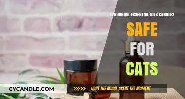 Are Essential Oil Candles Safe for Cats? What Pet Owners Need to Know