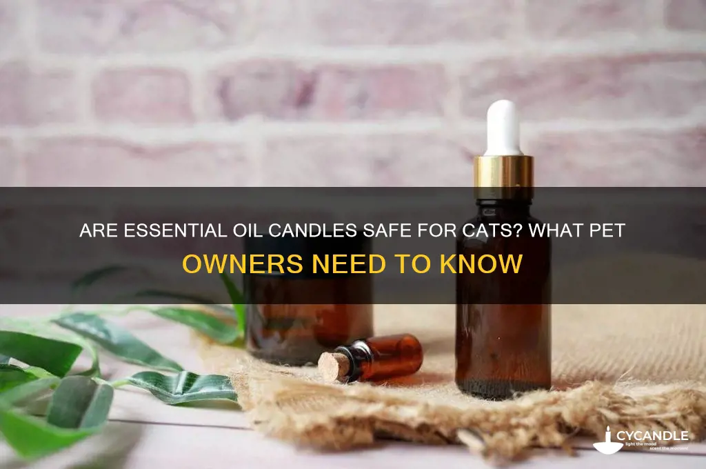 is burning essential oils candles safe for cats