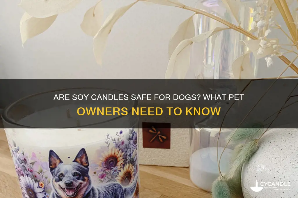 is burning soy candles bad for dogs