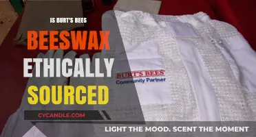 Burt's Bees Beeswax: Ethical Sourcing Practices Explained and Evaluated