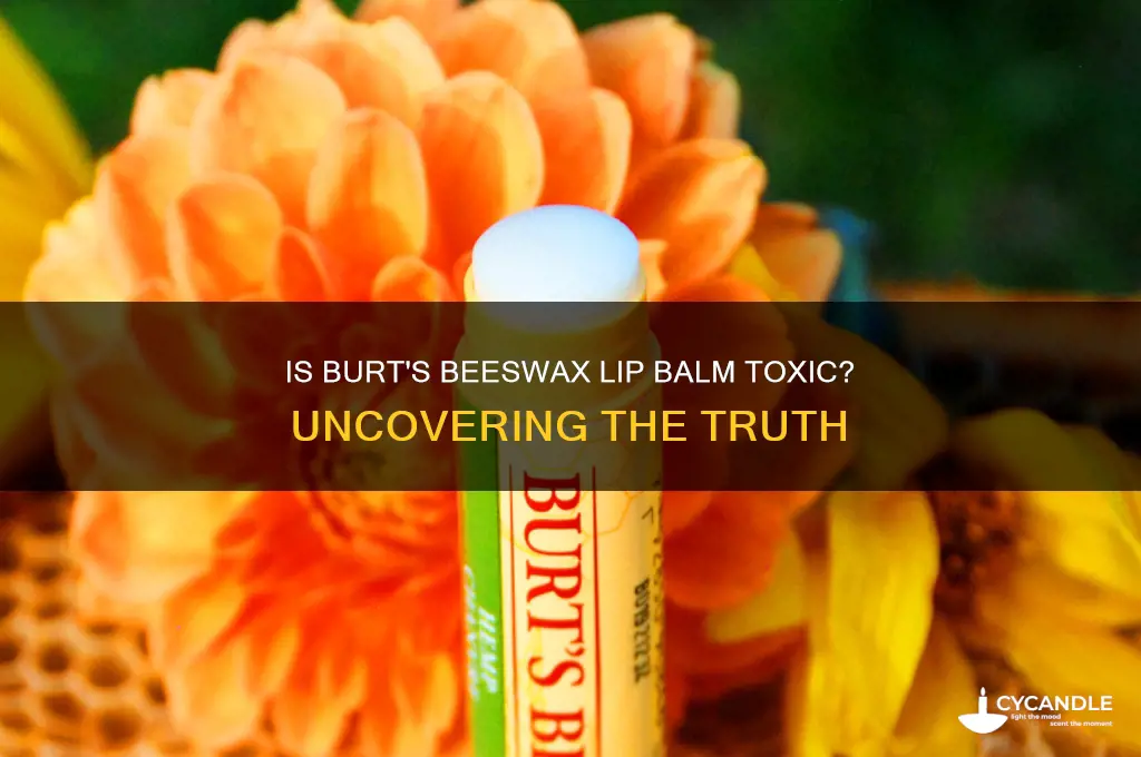 is burts beeswax lip balm toxic