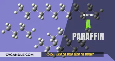 Is Butane a Paraffin? Understanding Hydrocarbons and Their Classification