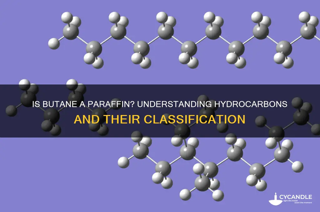 is butane a paraffin