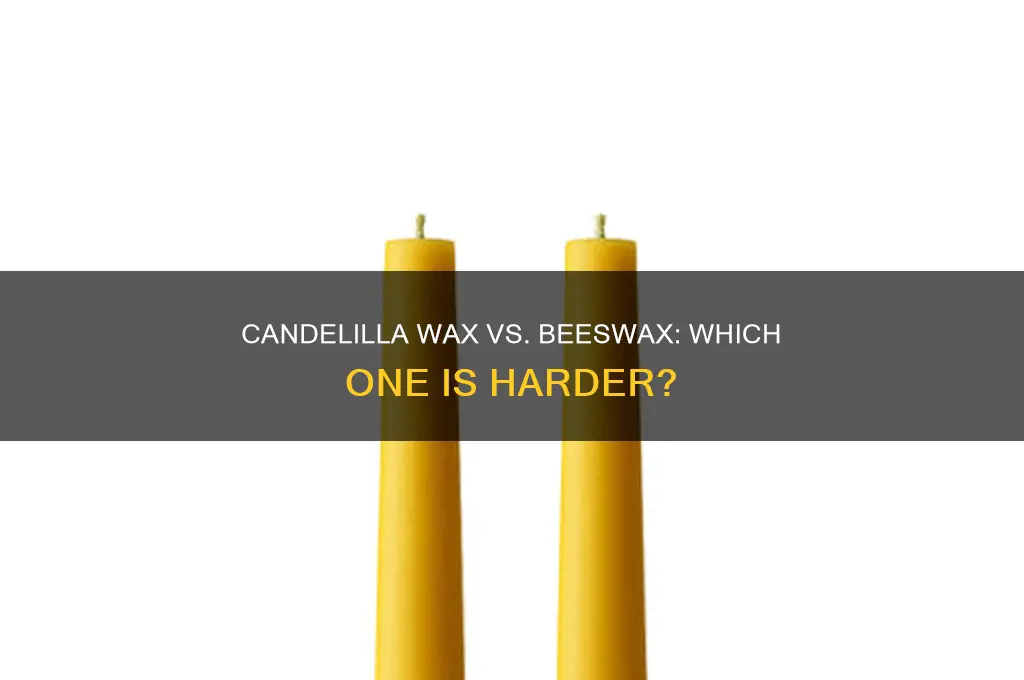 is candelilla wax harder than beeswax